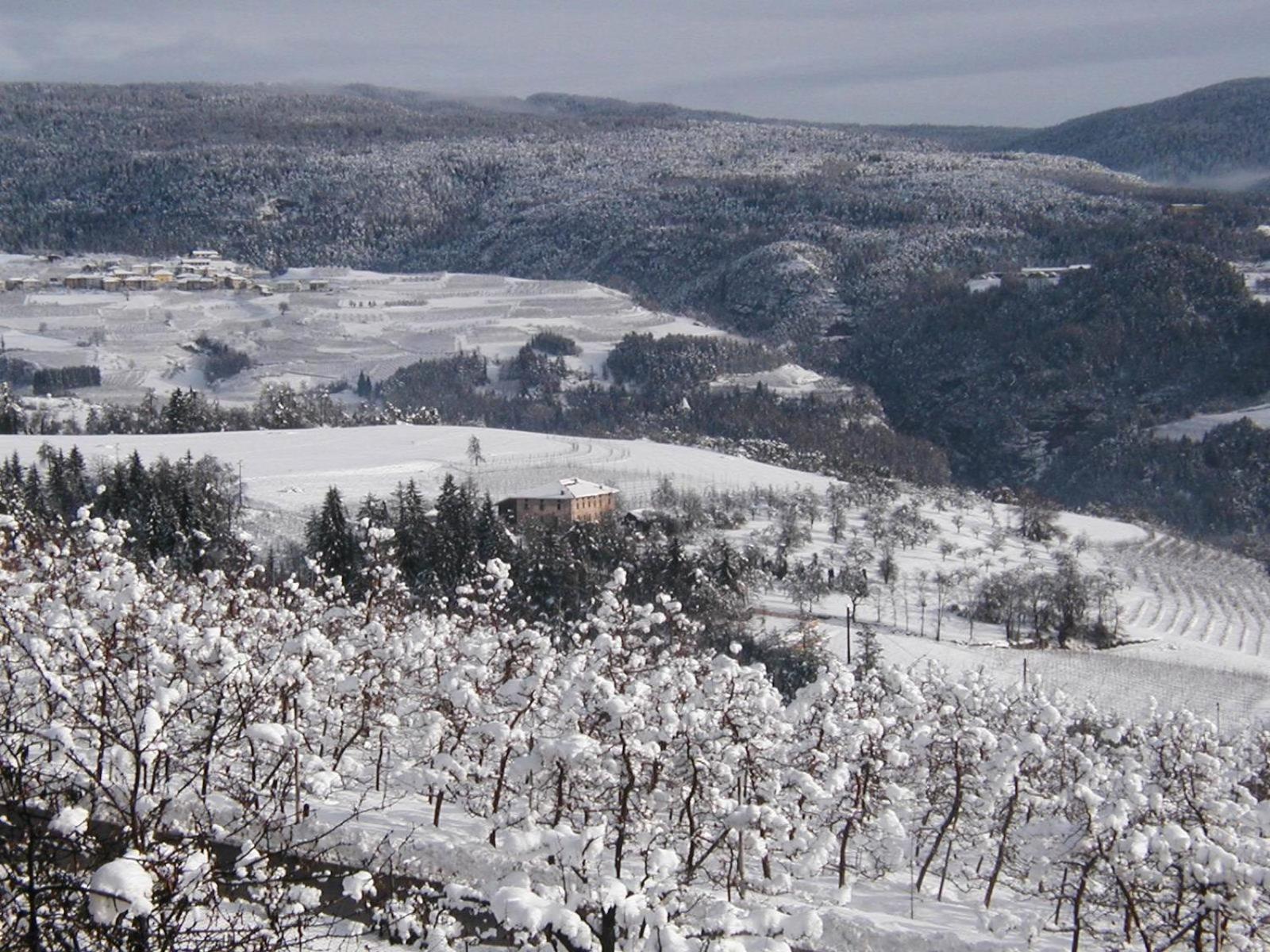 Locanda Alpina Brez Esterno foto